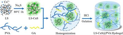 Nanomaterials for the treatment of bacterial infection by photothermal/photodynamic synergism